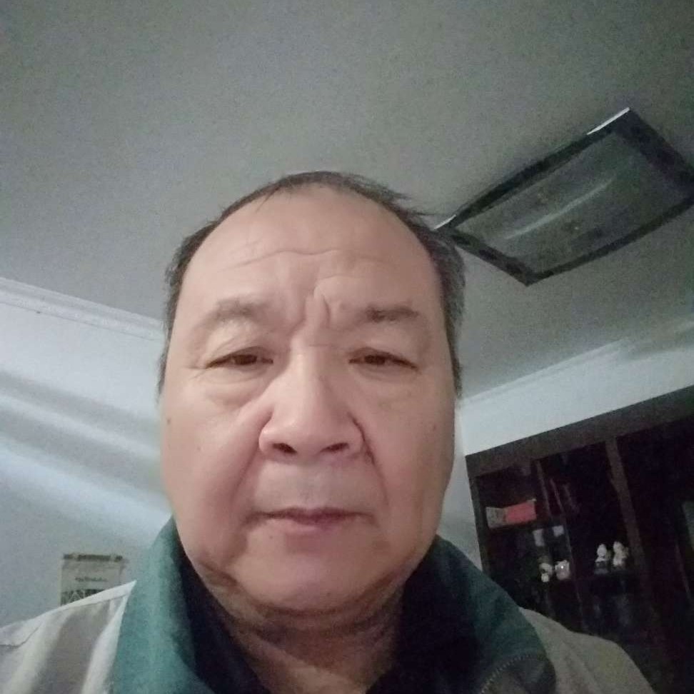 端庄拾忆黄蜂的照片