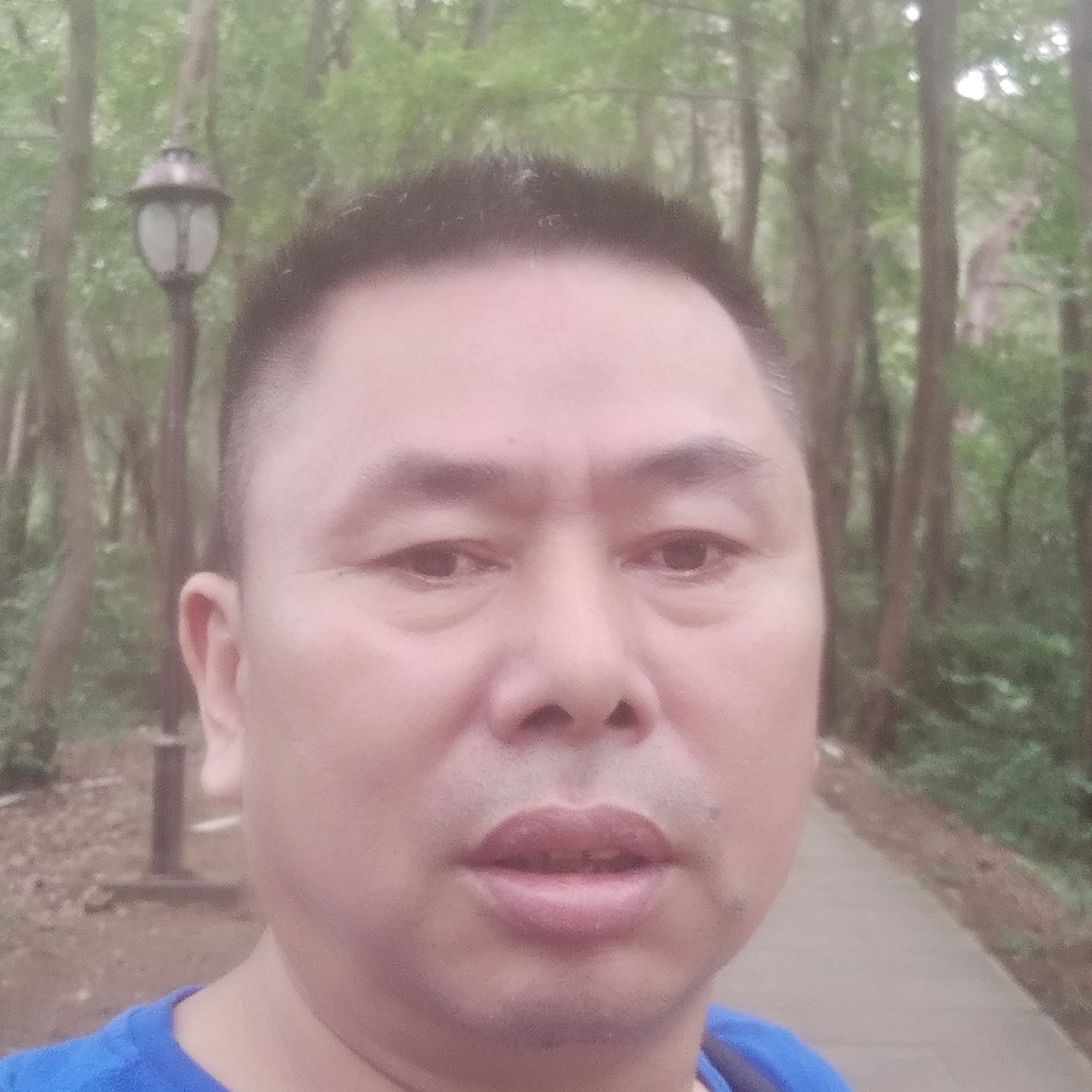 四个星的照片