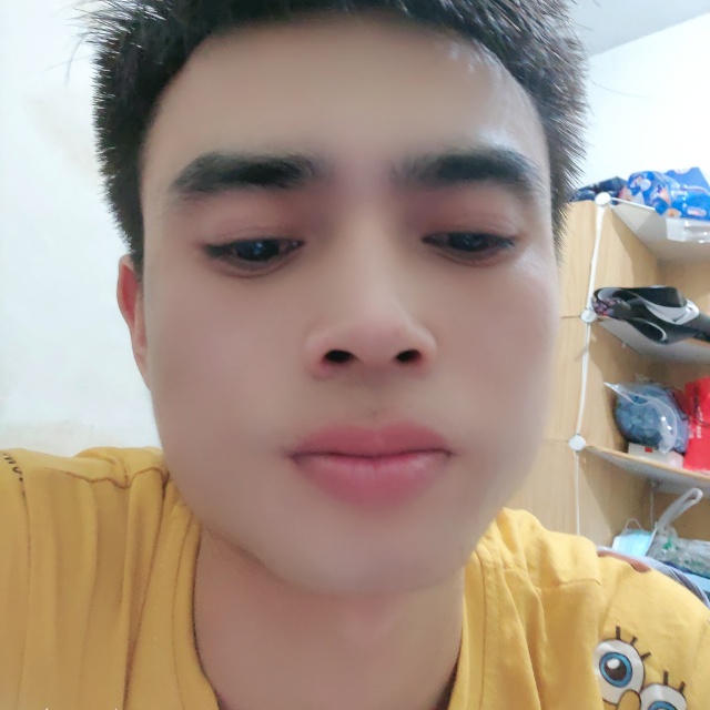 吹落的蒲公英的照片