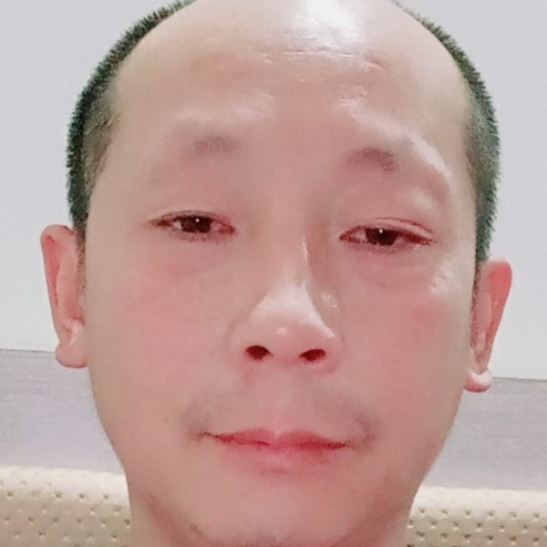 长颈鹿相许包容的照片