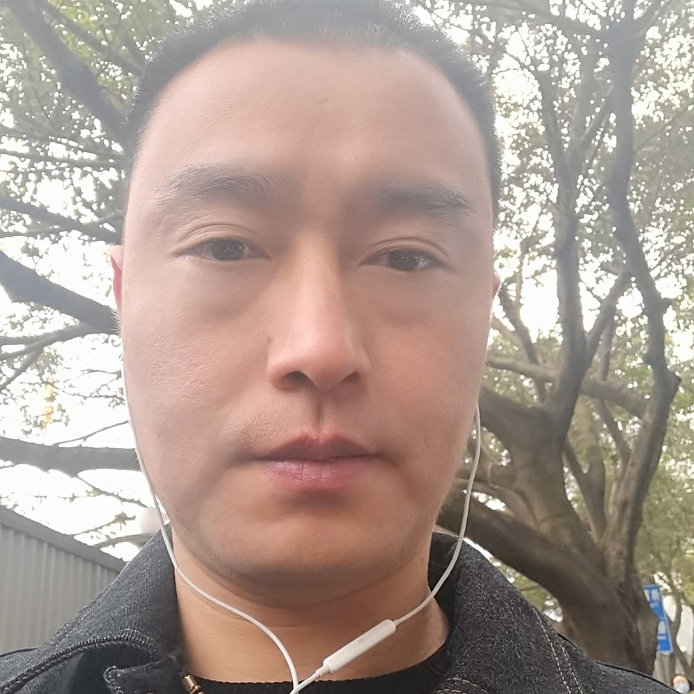 舫的照片