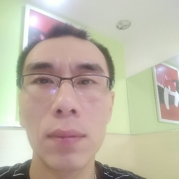 空中的松的照片