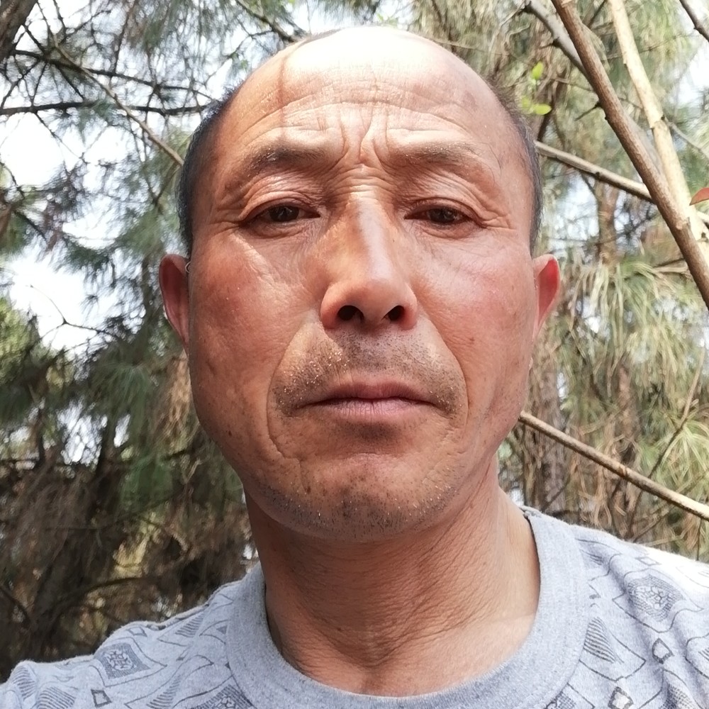 月亮邂逅务实的照片