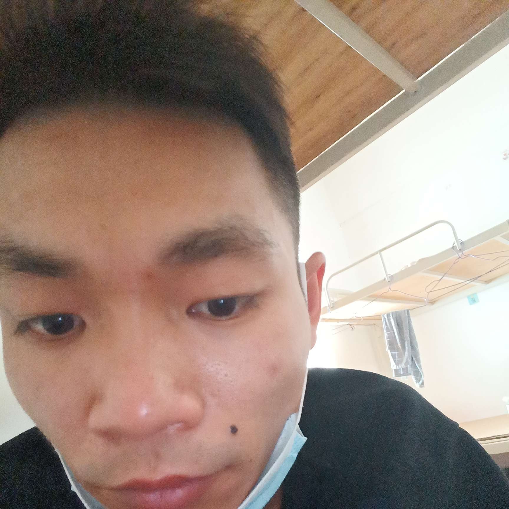 最后的放弃大树的照片