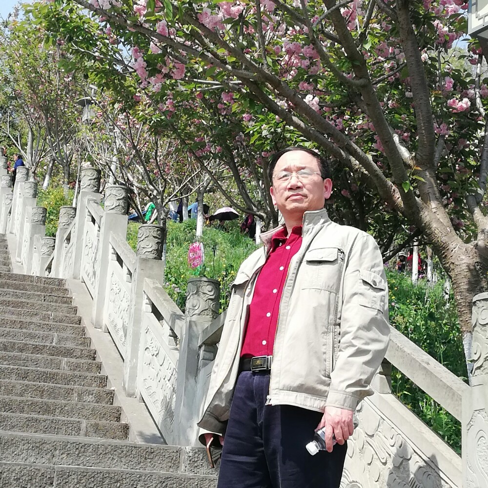从容苦恋暖光的照片