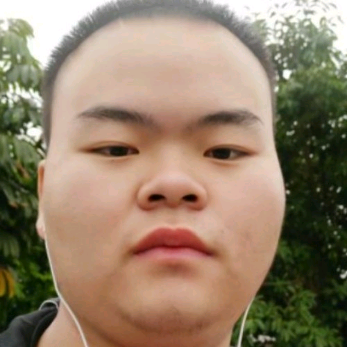 楝总的照片