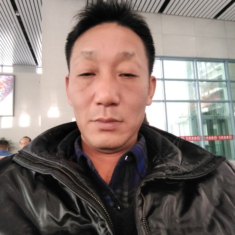 妩媚黑猫的照片