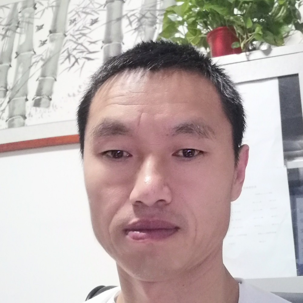 泰康运输的照片