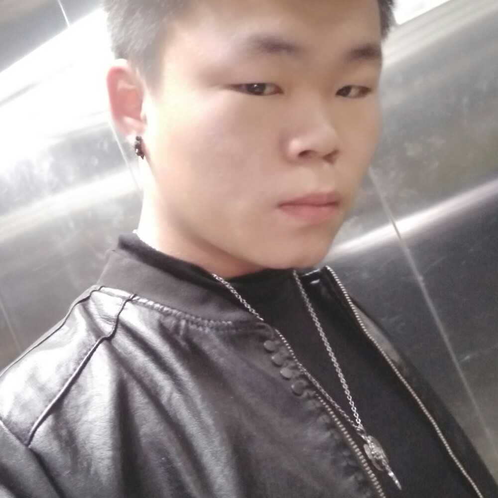 藏在树里的叶的照片