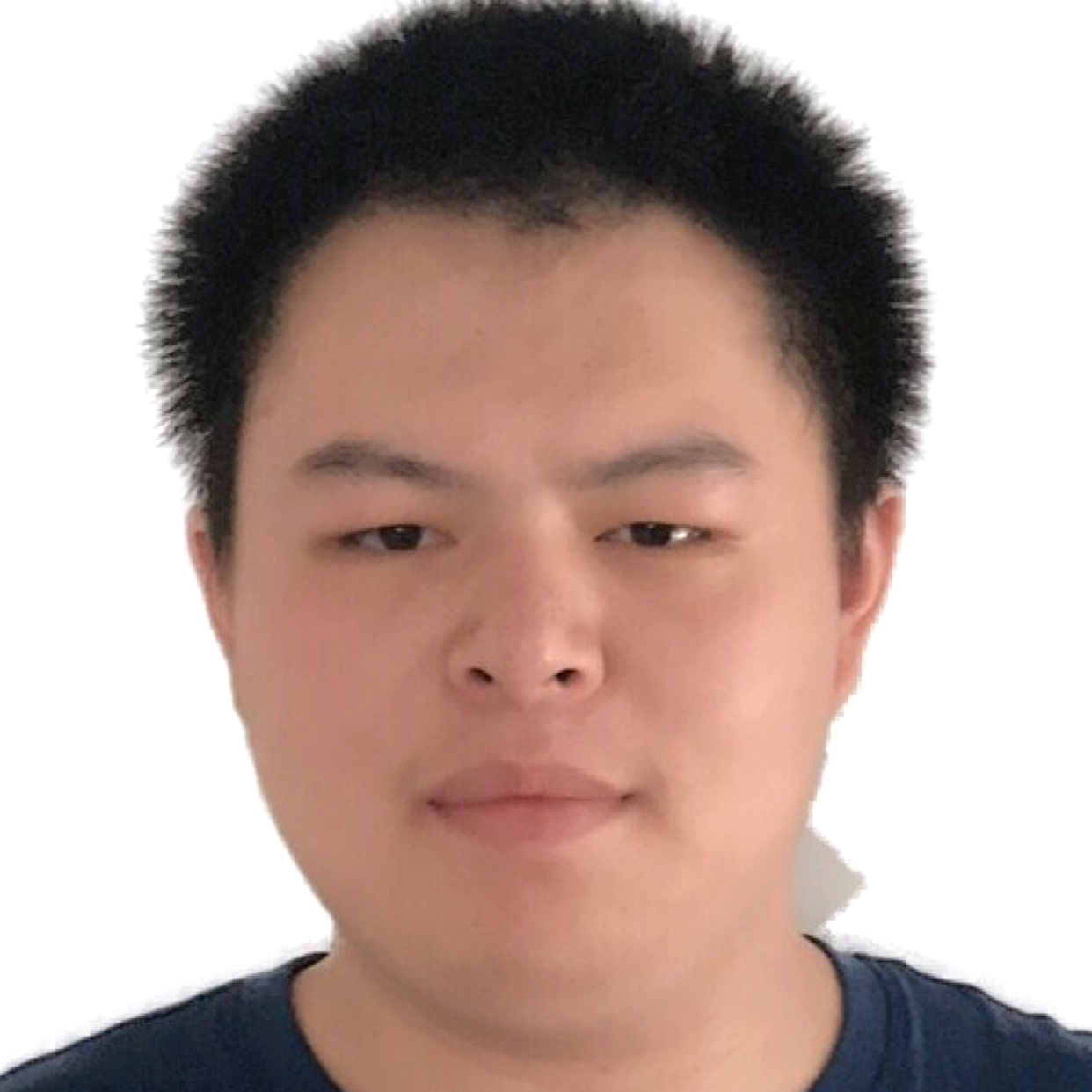 辛勤漫步河马的照片
