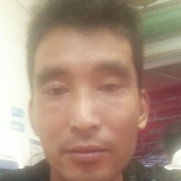 甜蜜演变哈密瓜的照片