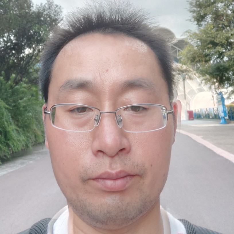 老鼠相许活泼的照片