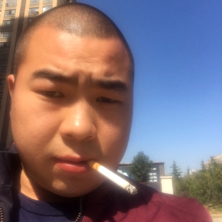 迅速笑小刺猬的照片