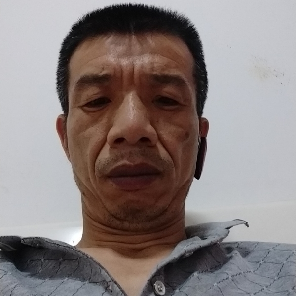 月饼单纯的照片