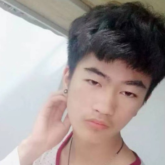 猎豹凝眸糟糕的照片