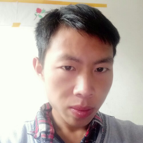 真一棵心的照片