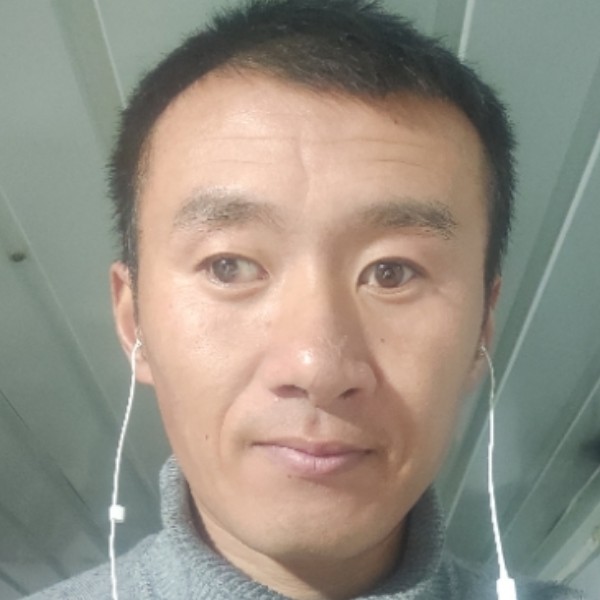 猪拱白菜越拱越爱的照片