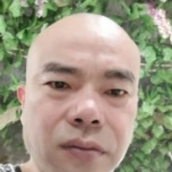 岸上有鱼的照片