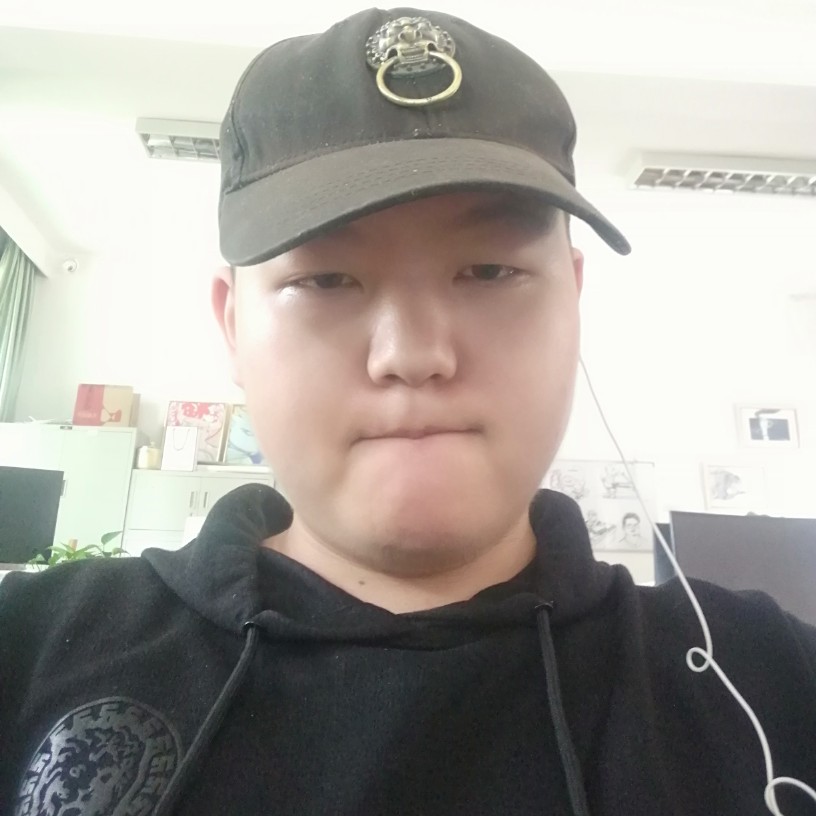 皮皮猫的照片
