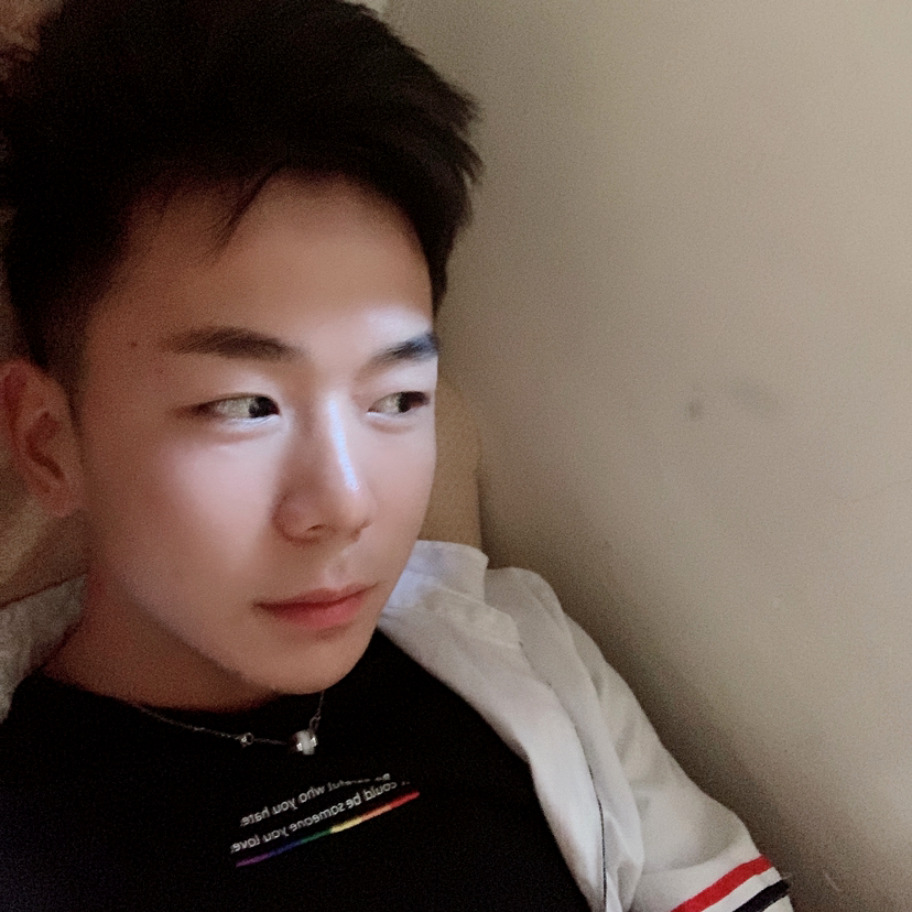风趣给乌龟的照片