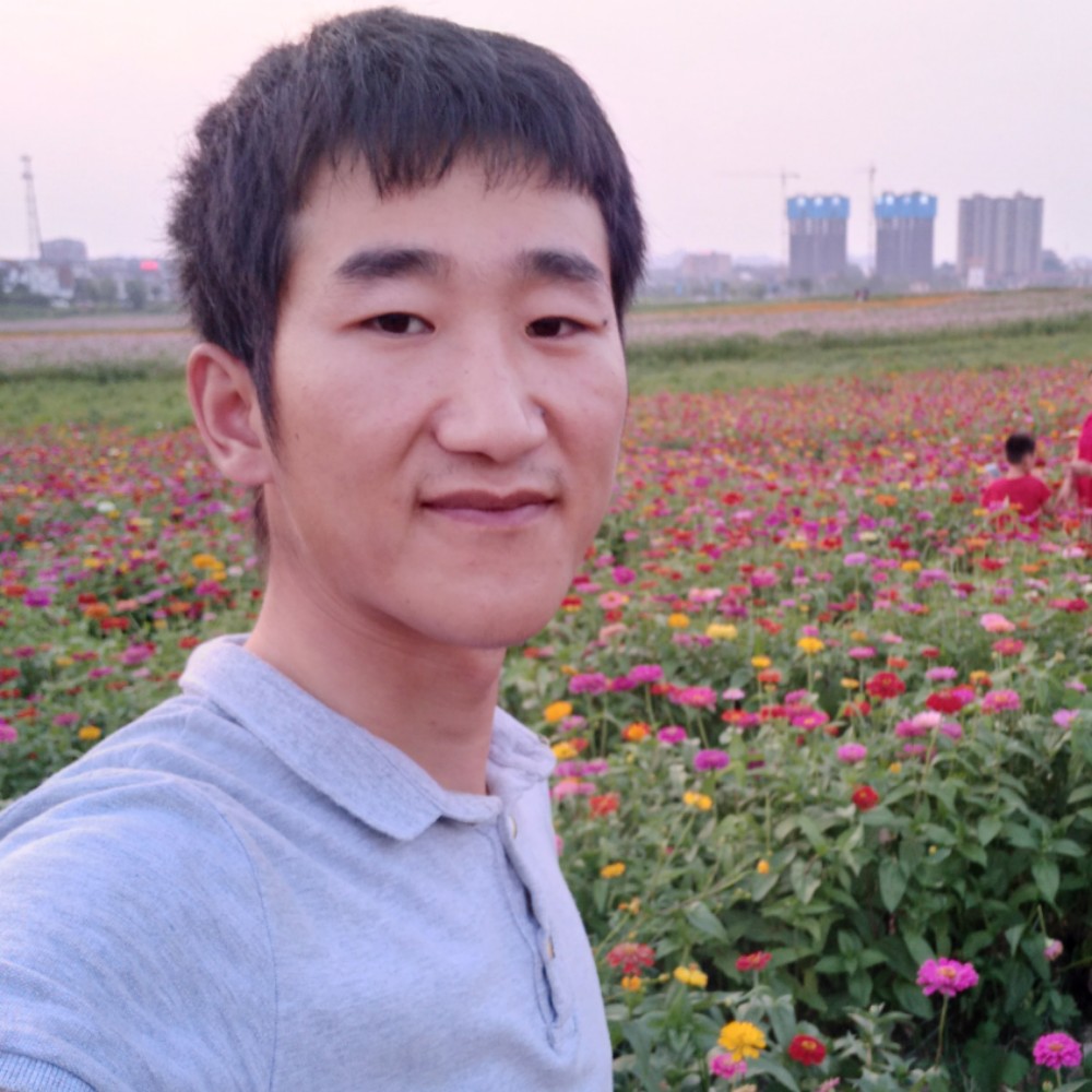 安详西牛的照片