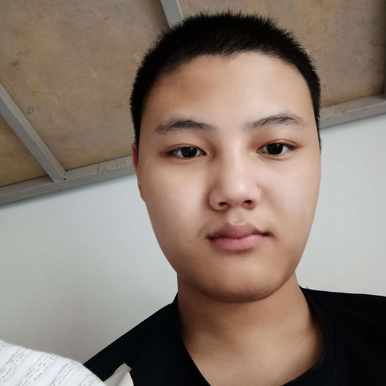 搞怪迎醉月的照片