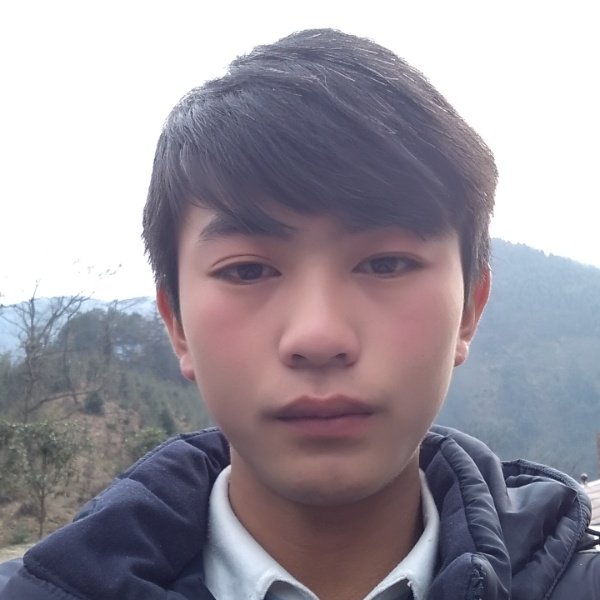 微风拂杨柳的照片