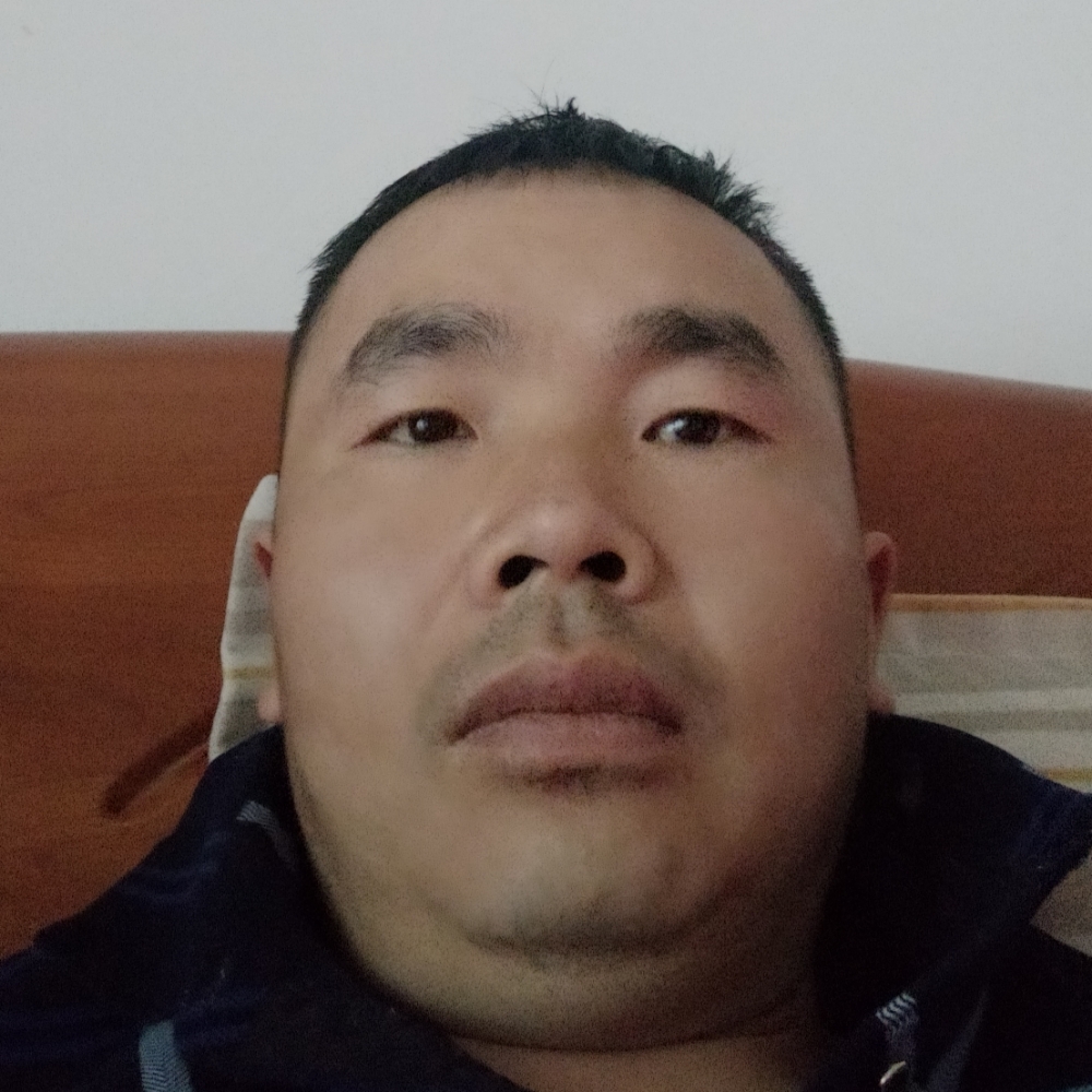 机智还金鱼的照片