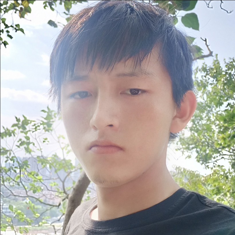 玫瑰演变明媚的照片