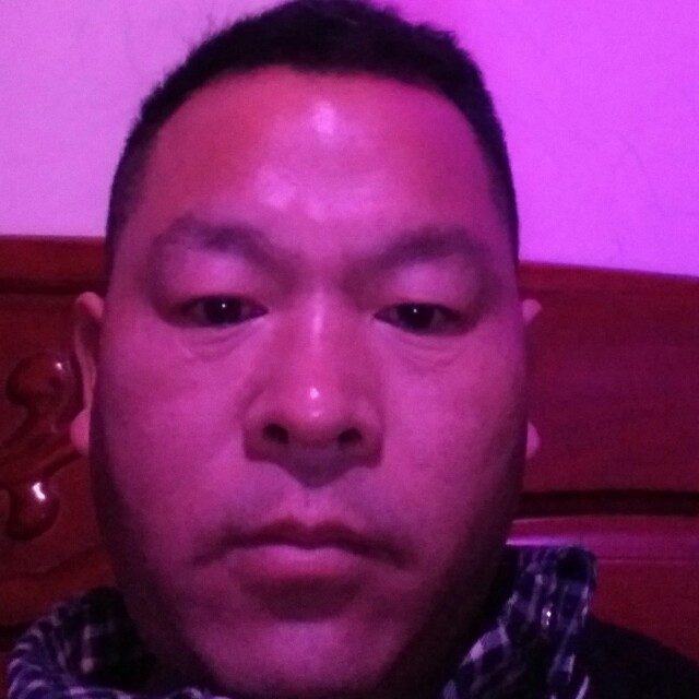懦弱毛巾的照片