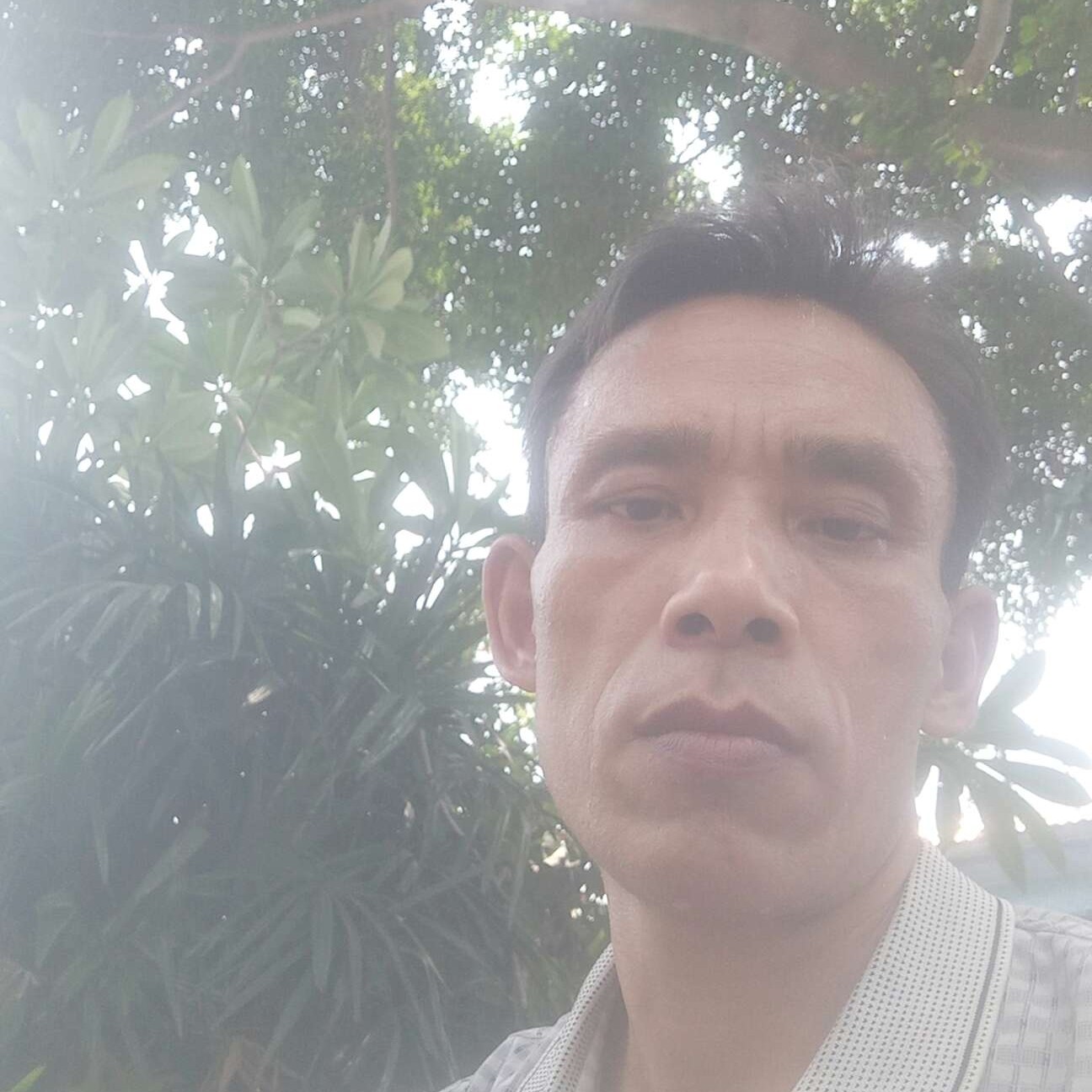 会员344212940的照片