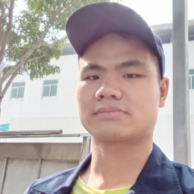 健壮蹙眉红牛的照片