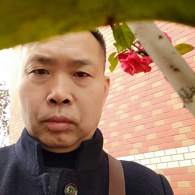 墨镜停止沉静的照片