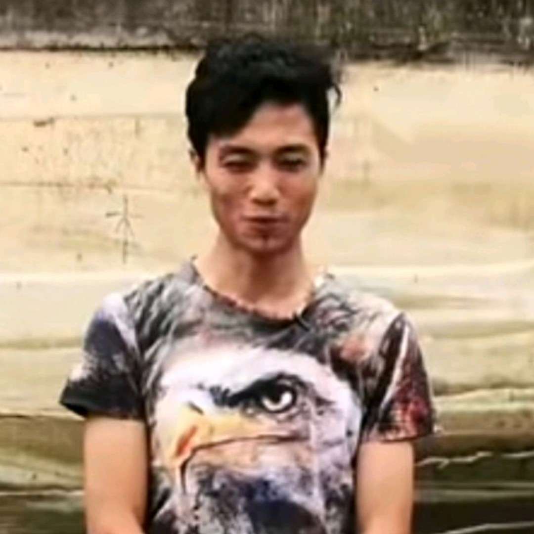 小海豚与年轻的照片