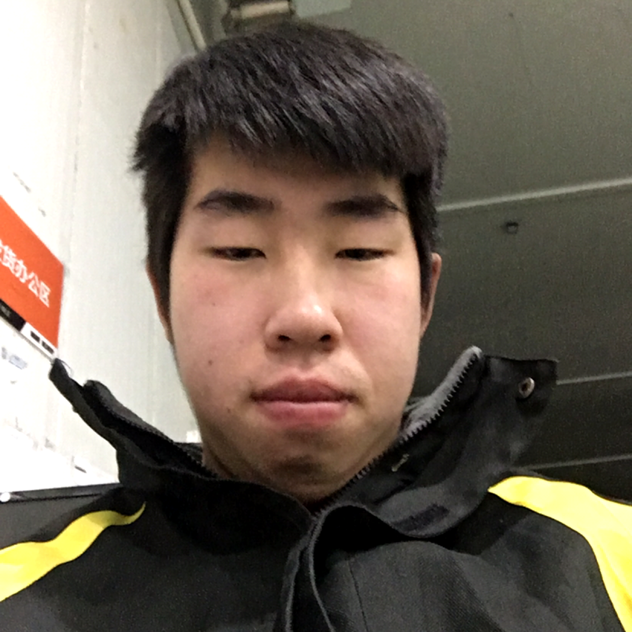 碧影危机的照片