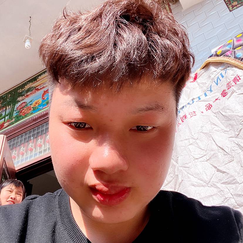 坚强倾心小懒猪的照片