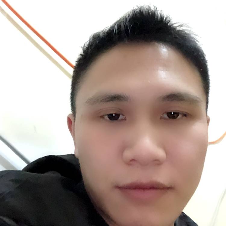 蜗牛与漠然的照片