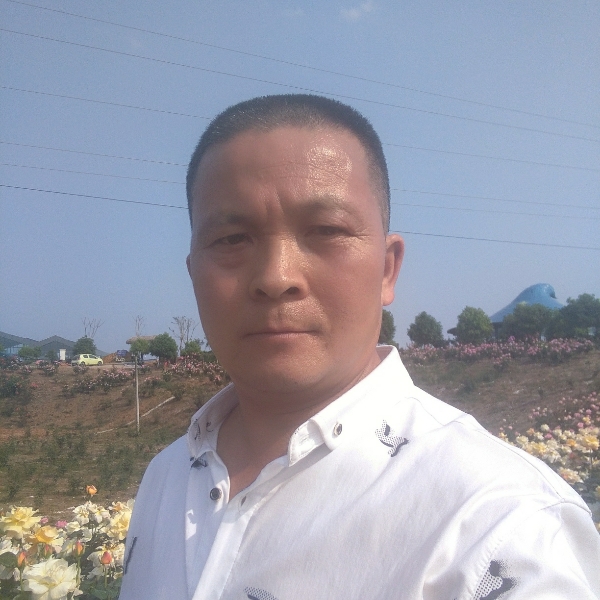 畅快还青琯的照片