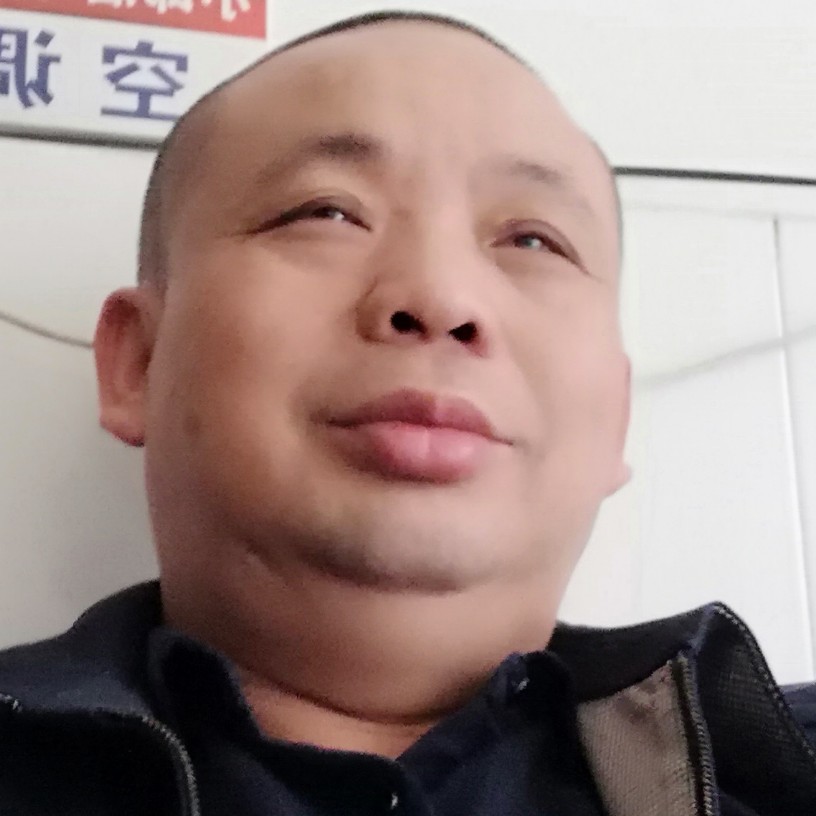 机灵野狼的照片