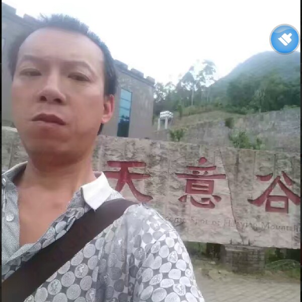 魔幻挽手蜜蜂的照片