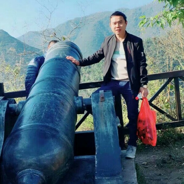 仙人掌仁爱的照片