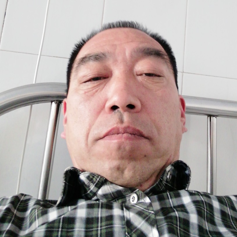 照松的照片