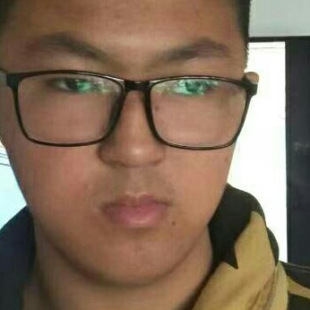 解振东的照片