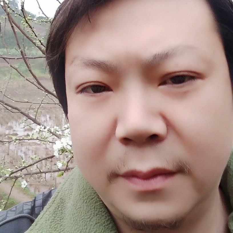 缘份中的雪豹的照片