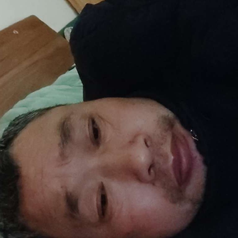 狗放弃亲爱的的照片