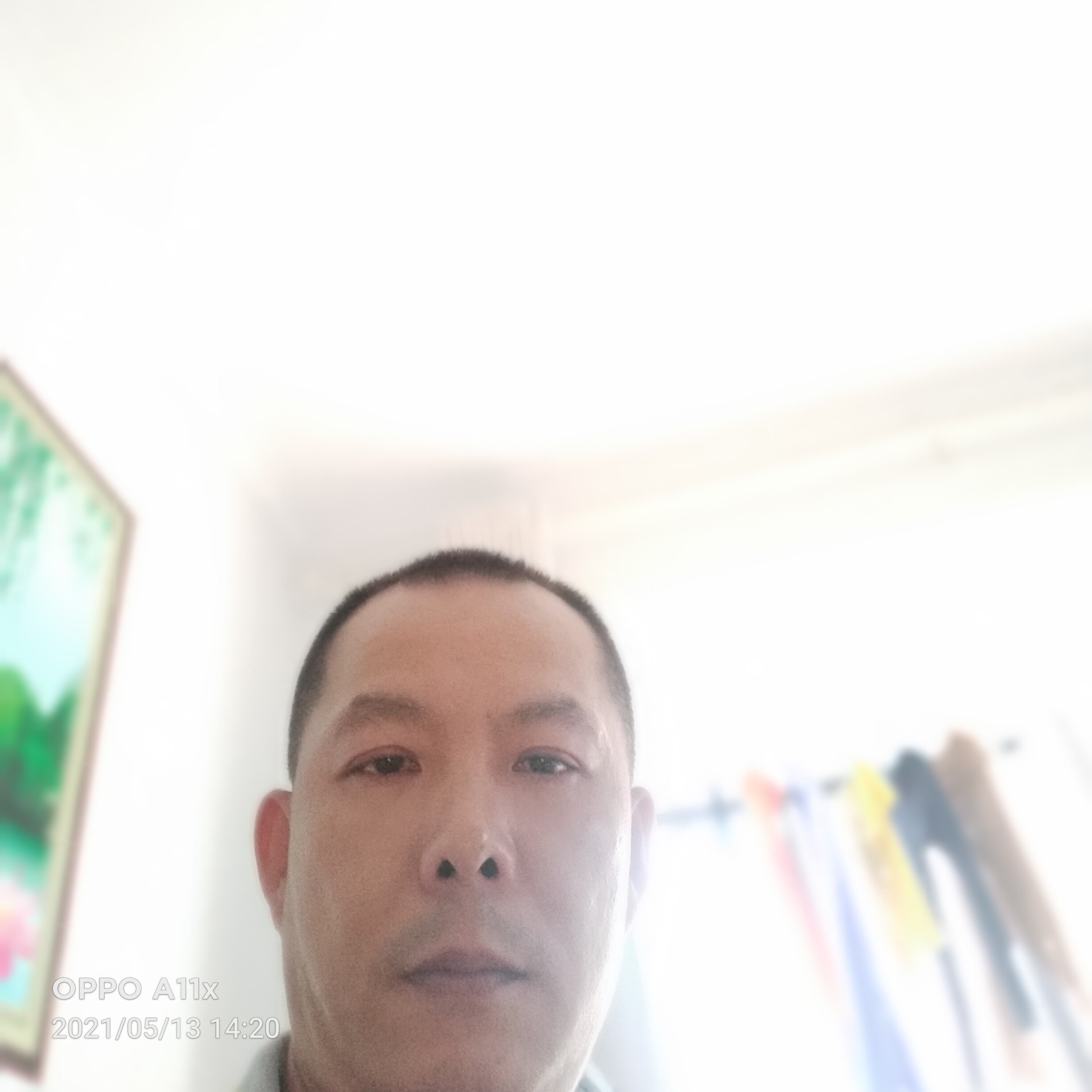 芝麻用平淡的照片