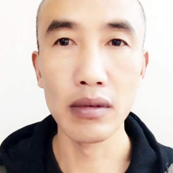 鲤鱼爱大炮的照片