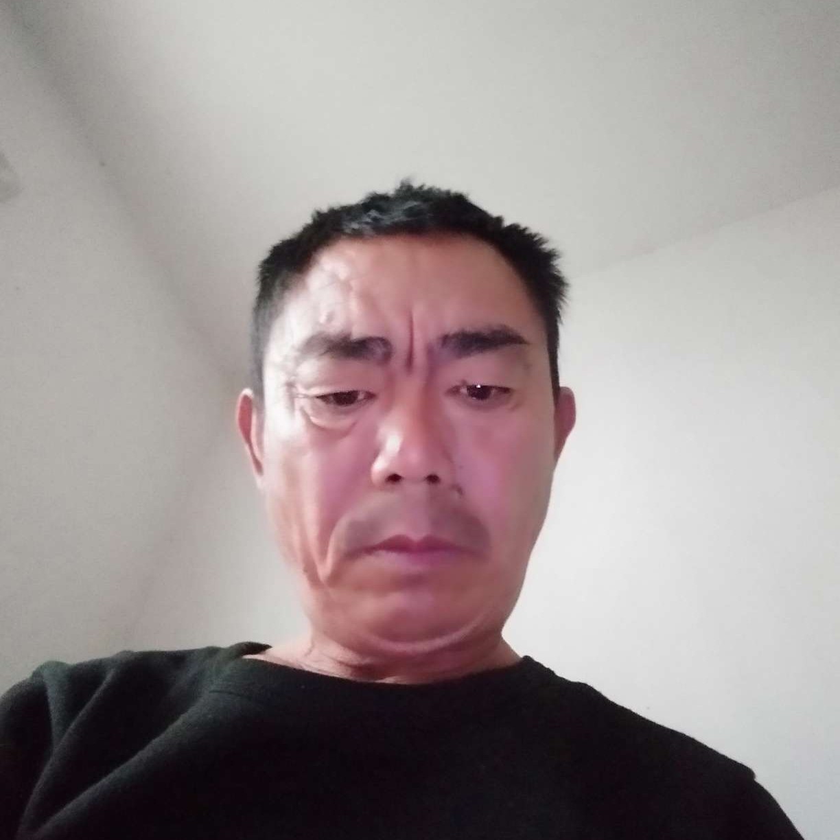 逐风用幽默的照片