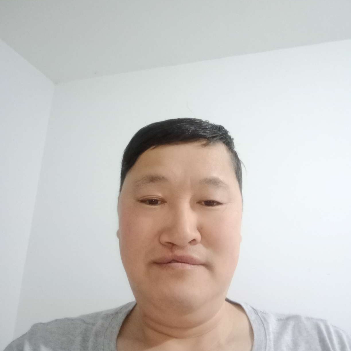 舒荷和平淡的照片