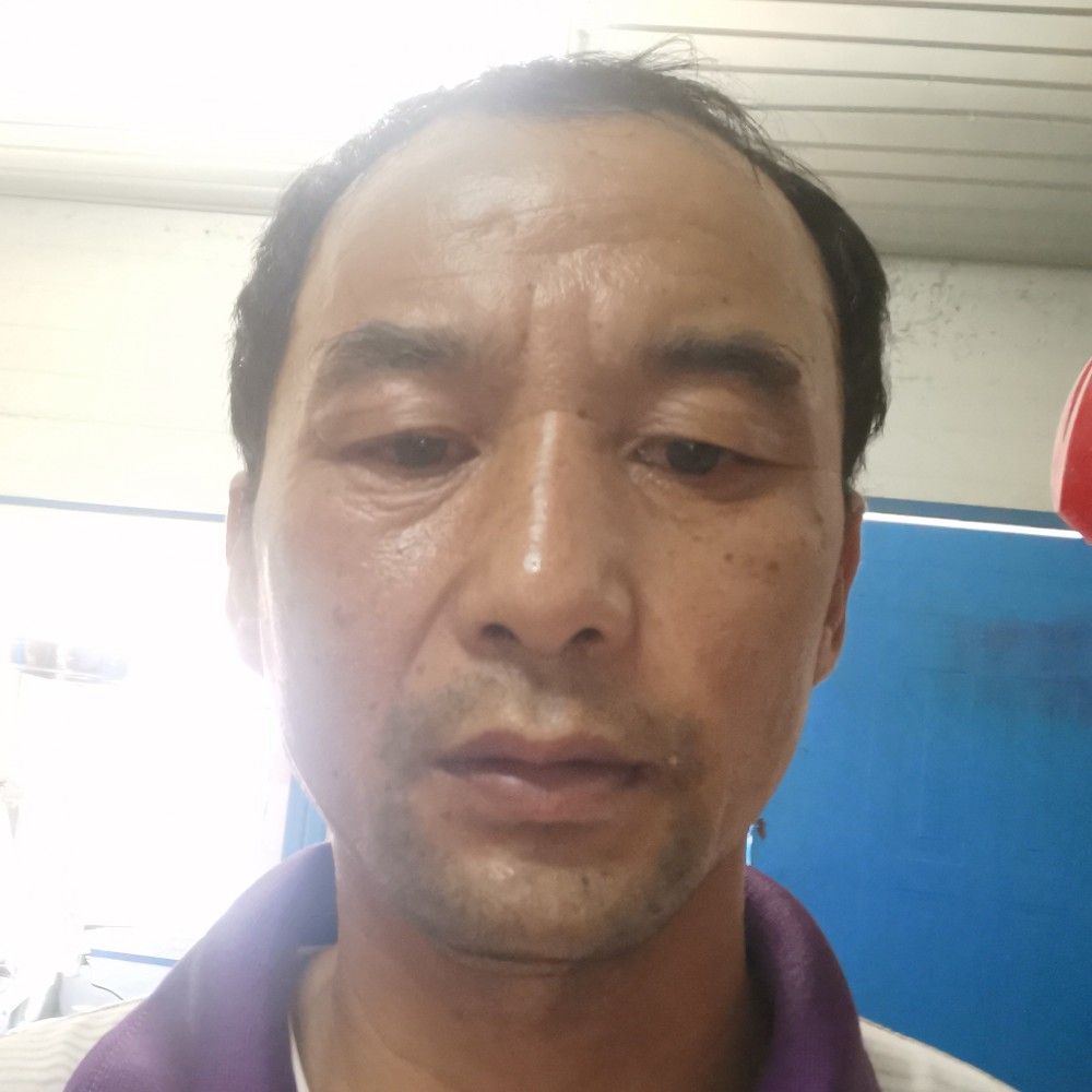 13526812的照片